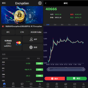 PC版微盘系统/微盘外汇系统/USDT充值/九种语言/实名认证