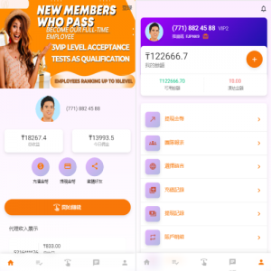 二开版海外抢单系统/在线派单连单/多语言抢单刷单