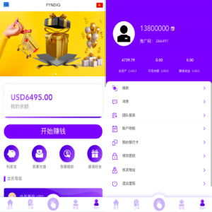 多语言海外抢单刷单/打针/叠加组//前端vue/订单自动匹配系统