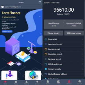 运营版海外资金盘系统/投资理财众筹系统